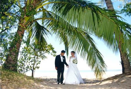 Cairns Dream Weddings