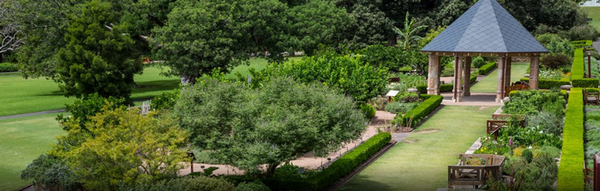 herb garden and pavilion lawn royal botanic gardens sydney