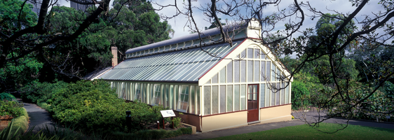 palm house and lawn royal botanic gardens sydney