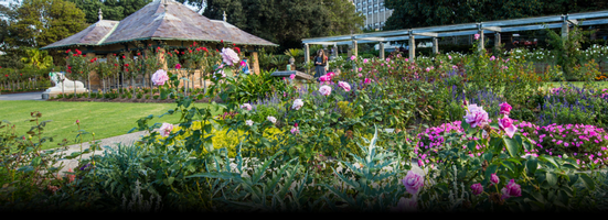 rose garden and pavilion royal botanic gardens sydney